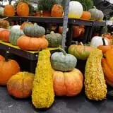 Simpson's Produce photo