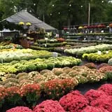 Simpson's Produce photo