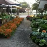 Simpson's Produce photo