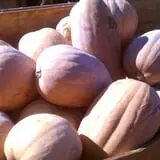 Simpson's Produce photo