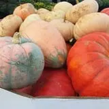 Simpson's Produce photo