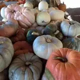 Simpson's Produce photo