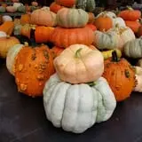 Simpson's Produce photo