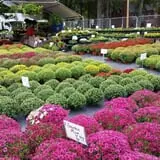 Simpson's Produce photo