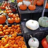 Simpson's Produce photo