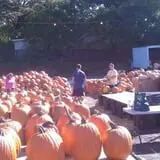 Simpson's Produce photo