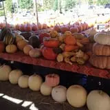 Simpson's Produce photo