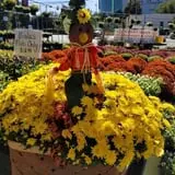 Simpson's Produce photo