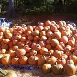 Simpson's Produce photo