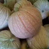 Simpson's Produce photo