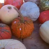 Simpson's Produce photo