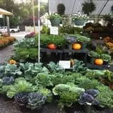 Simpson's Produce photo