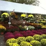 Simpson's Produce photo
