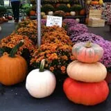 Simpson's Produce photo
