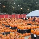 Simpson's Produce photo