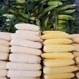 Simpson's Produce photo