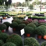 Simpson's Produce photo
