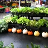Simpson's Produce photo