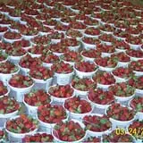 Simpson's Produce photo