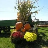 Today's Harvest Fall Season photo
