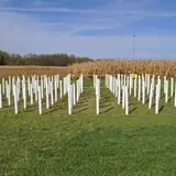 Today's Harvest Fall Season photo