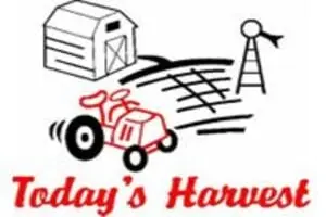 Today's Harvest Fall Season