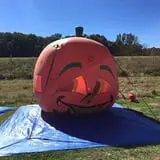 Bass Farms Fall Festival photo