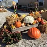 Bass Farms Fall Festival photo