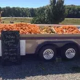 Bass Farms Fall Festival photo