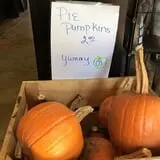 Bass Farms Fall Festival photo