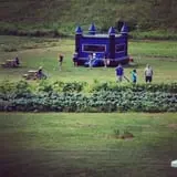 Bass Farms Fall Festival photo