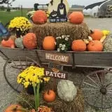 Bass Farms Fall Festival photo