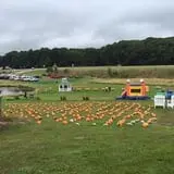 Bass Farms Fall Festival photo