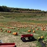 Bass Farms Fall Festival photo