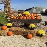 Bass Farms Fall Festival photo