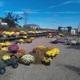 Bass Farms Fall Festival photo