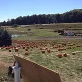 Bass Farms Fall Festival photo