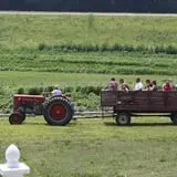 Bass Farms Fall Festival photo