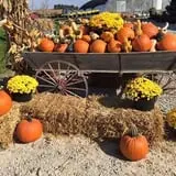 Bass Farms Fall Festival photo