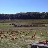 Bass Farms Fall Festival photo