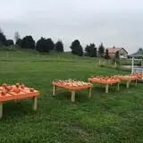 Bass Farms Fall Festival photo
