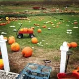 Bass Farms Fall Festival photo