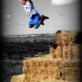 Tubbs' Berry Farm photo