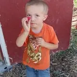 Tubbs' Berry Farm photo