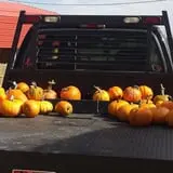 Tubbs' Berry Farm photo