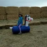 Tubbs' Berry Farm photo