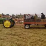 Tubbs' Berry Farm photo