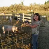 Tubbs' Berry Farm photo