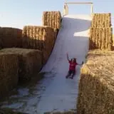 Tubbs' Berry Farm photo