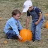 Tubbs' Berry Farm photo